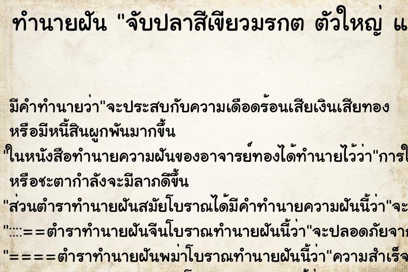 ทำนายฝัน จับปลาสีเขียวมรกต ตัวใหญ่ แล้วใส่ตู้ปลา ทำนายฝัน จับปลาสีเขียวมรกต ตัวใหญ่ แล้วใส่ตู้ปลา